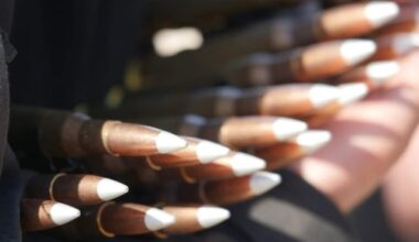 Lithuania to allocate EUR 20M to buy ammunition for Ukraine