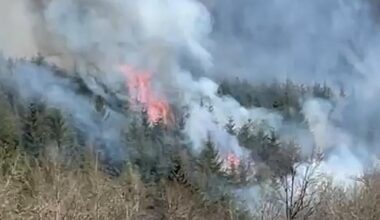 Vlaamse scouts kunnen zware bosbrand filmen in Achouffe: honderdtal hectare bos in rook opgegaan