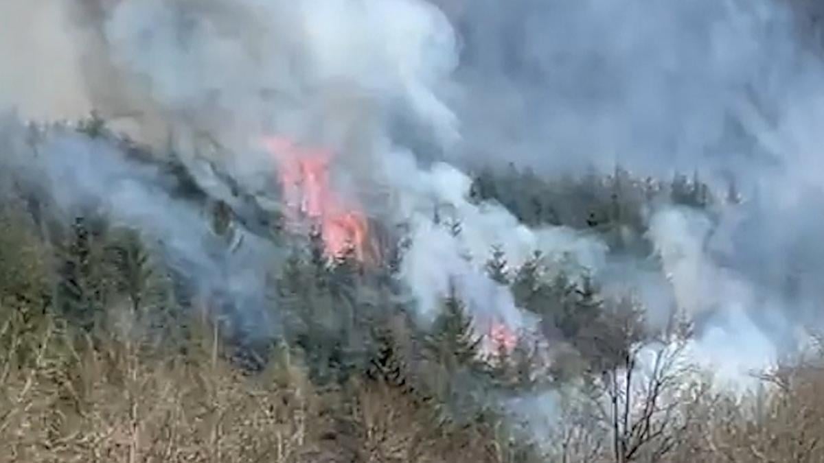 Vlaamse scouts kunnen zware bosbrand filmen in Achouffe: honderdtal hectare bos in rook opgegaan