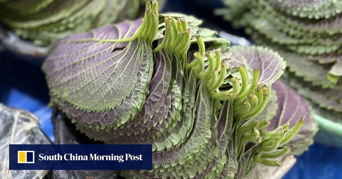 Korean ingredients’ variety, flavour celebrated in dishes from top chefs and rising stars