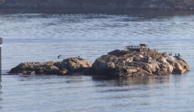 Irgendwo in Norwegen im Fjord, ein Grillplatz für die echten Naturfreunde