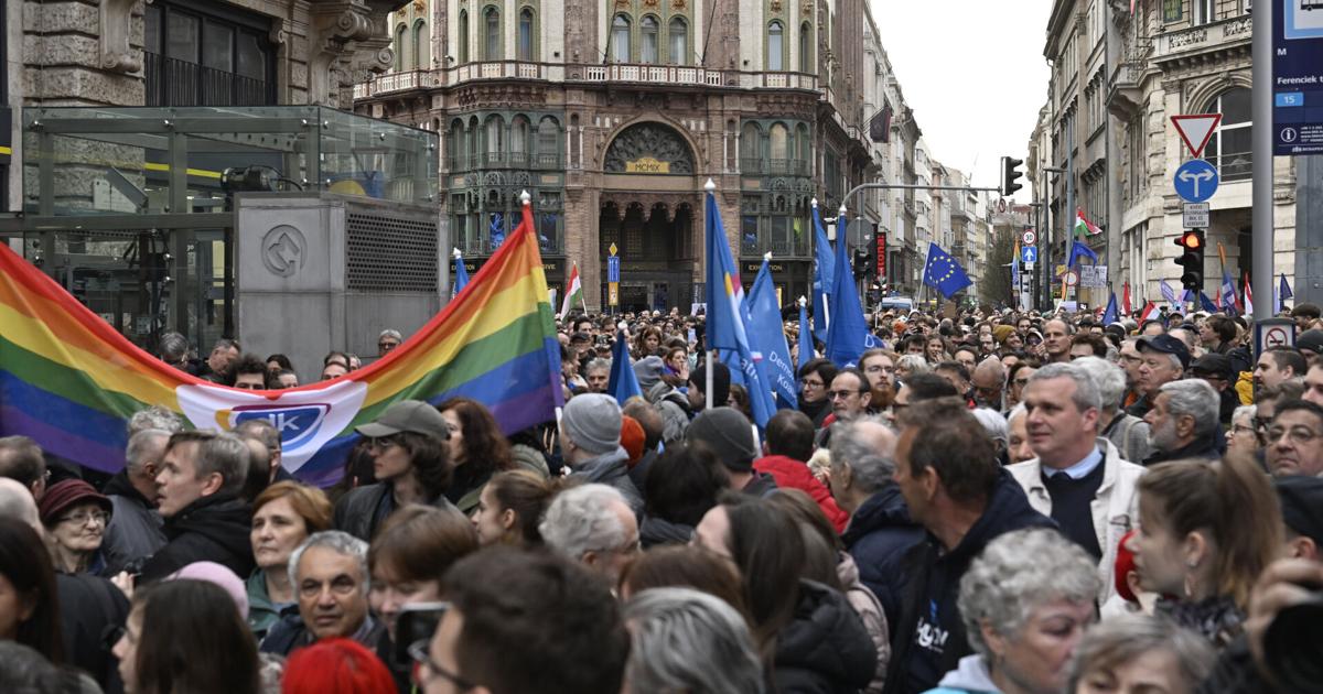 As Hungary votes on amendment to ban LGBTQ+ Pride, what does it mean for other basic rights? | News
