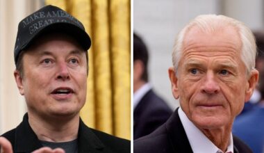 Elon Musk's Tariff Rift With Peter Navarro Is Getting Ugly