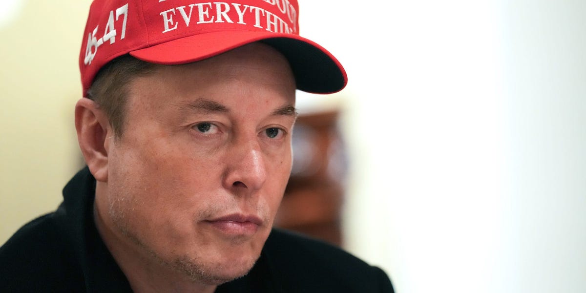 Elon Musk's No Tariff Proposal With Europe Is Weakness: German Minister