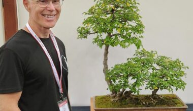 Center for the Environment celebrates the history and science of bonsai | Our Campus