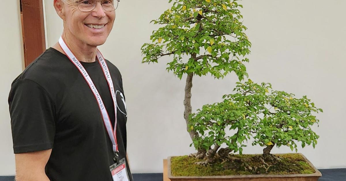 Center for the Environment celebrates the history and science of bonsai | Our Campus