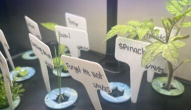 College Spotlights Earth Day, Climate Change | News