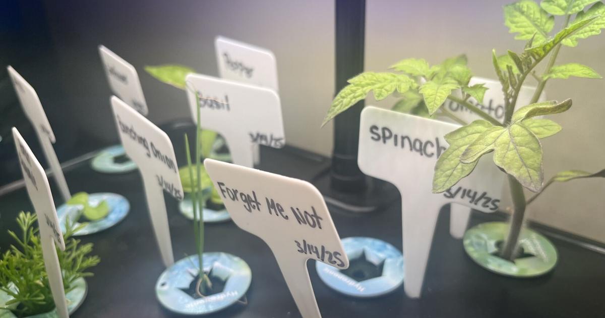 College Spotlights Earth Day, Climate Change | News