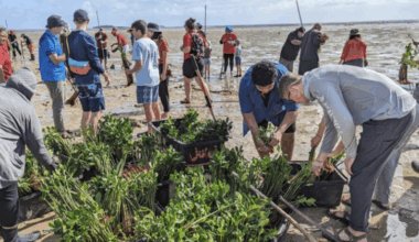 LETTER: Tonga's environment drowning in crisis it did not create | Opinion
