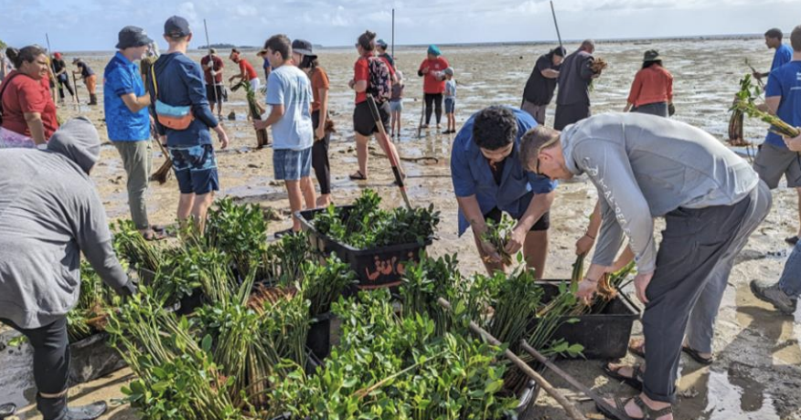 LETTER: Tonga's environment drowning in crisis it did not create | Opinion