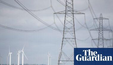 Northern Ireland faces court case over £300m north-south power pylon plan