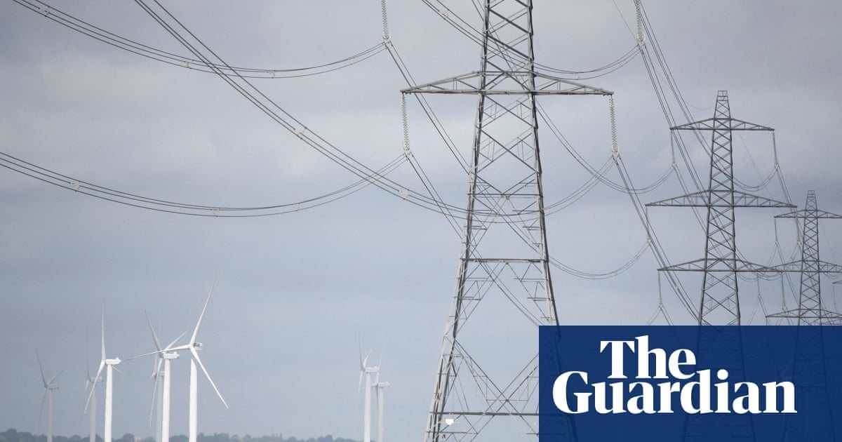 Northern Ireland faces court case over £300m north-south power pylon plan