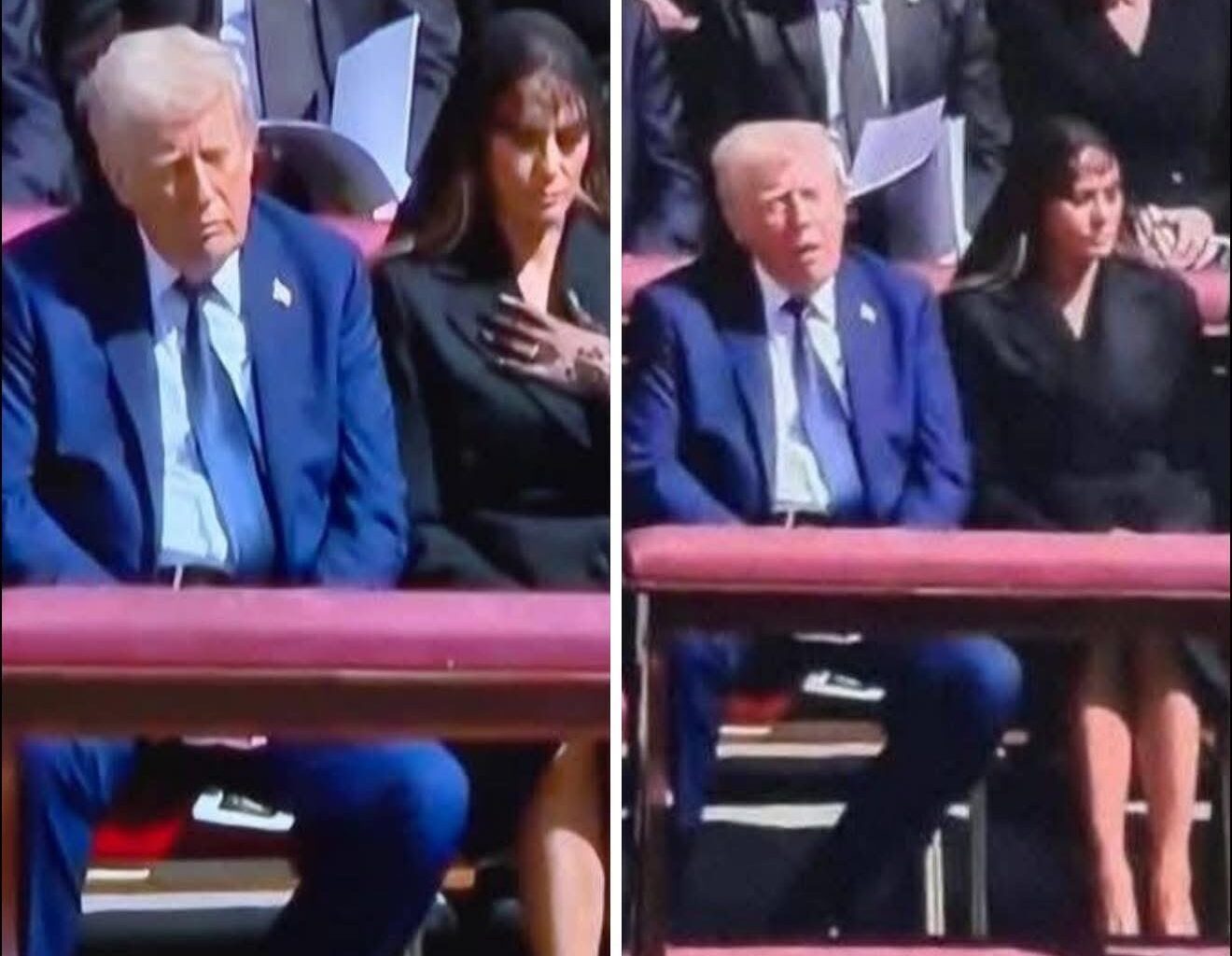 Michelleann Smith on X: "I don’t ever want to hear another word about “Sleepy Joe” — not after this circus.🤡 There are photos of Trump texting, laughing, taking phone calls, and sleeping at the Pope’s funeral.
