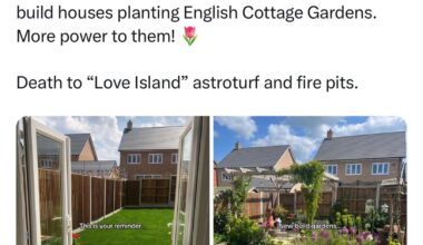 That’s exactly how gardens should look.