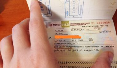 Trešo valstu pilsoņiem bez vīzas pirms ieceļošanas Latvijā būs jānorāda ziņas par sevi