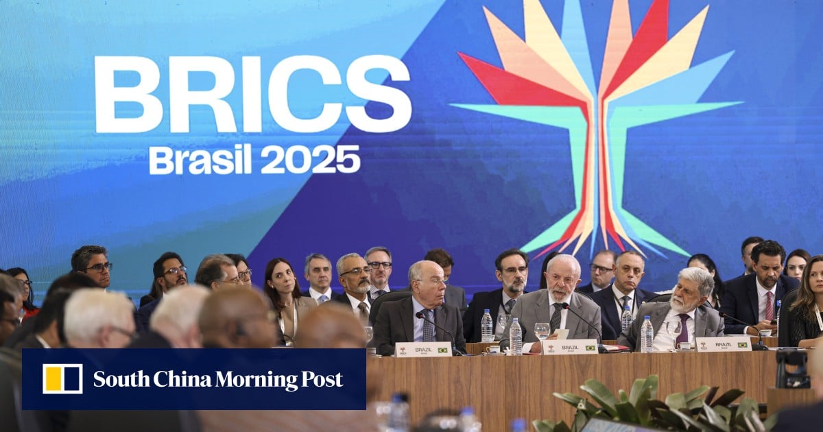 Brics countries eye multilateral mechanism to help global economy: Brazilian official