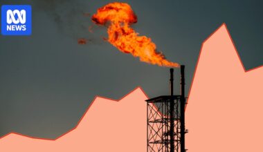 The six things you should know about gas and if it can make power cheaper