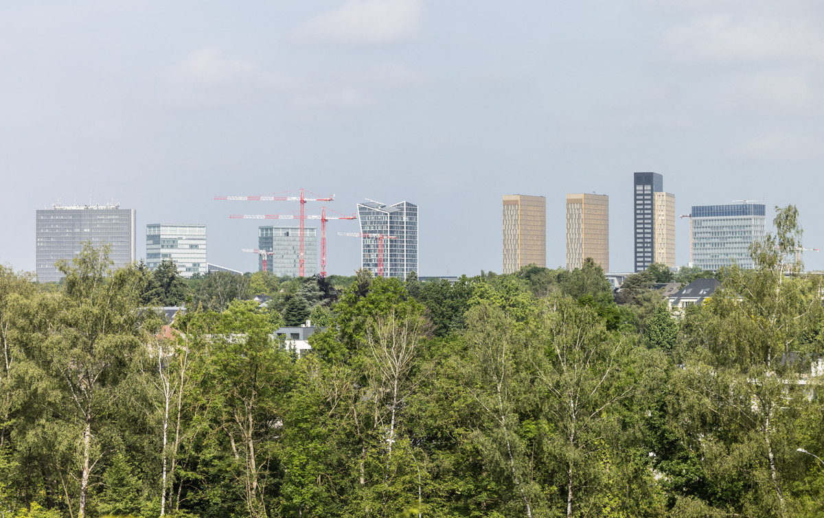 Luxembourg holds over half of EU’s article 9 fund assets