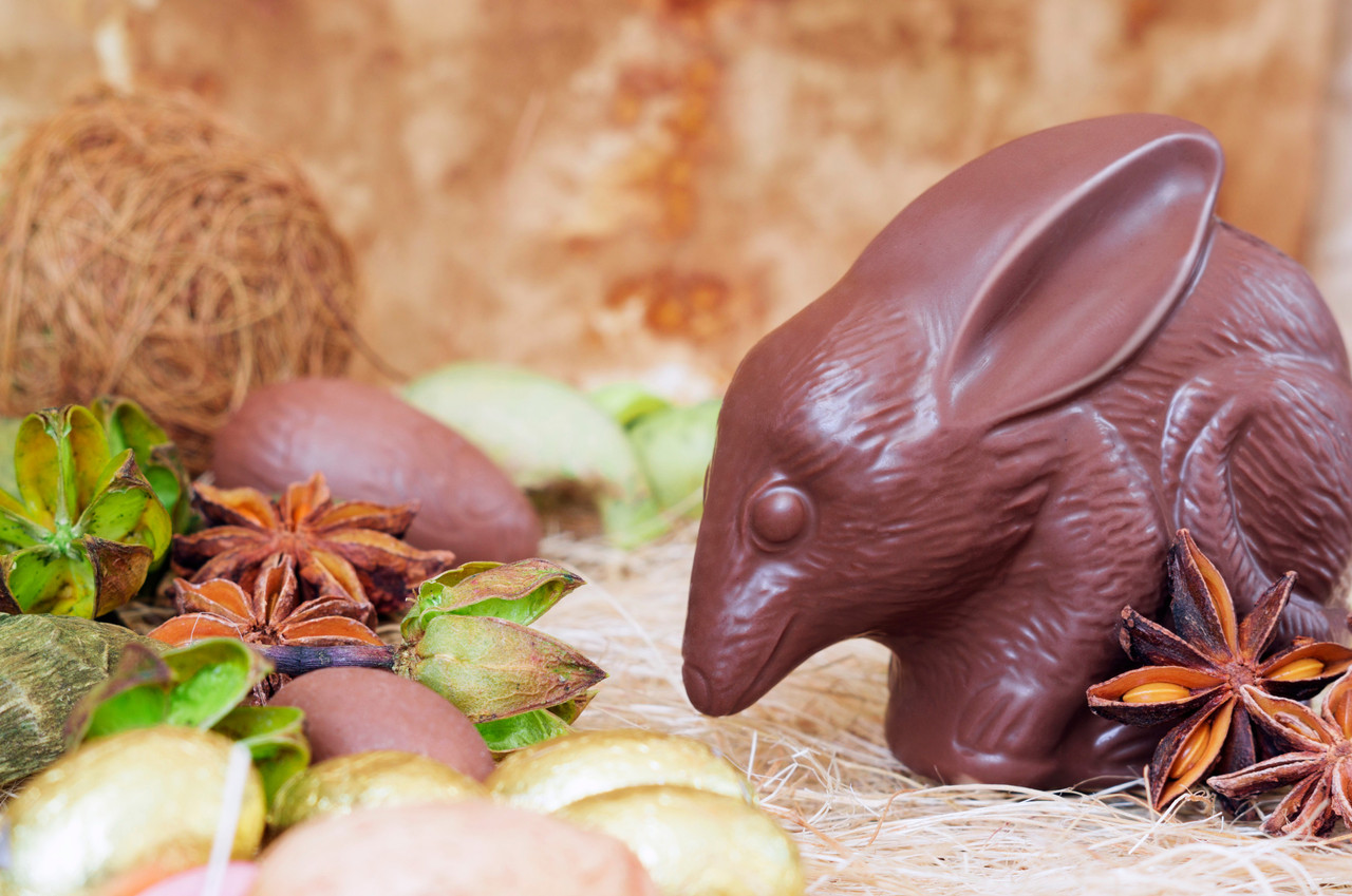 In Australia, the bilby has replaced the Easter bunny. Photo: Shutterstock