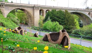 Urbane Gärten: LUGA bringt Natur nach Luxemburg