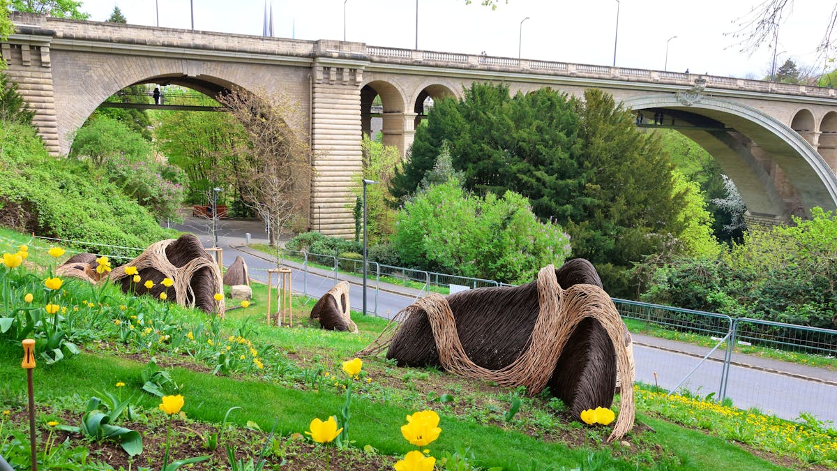 Urbane Gärten: LUGA bringt Natur nach Luxemburg