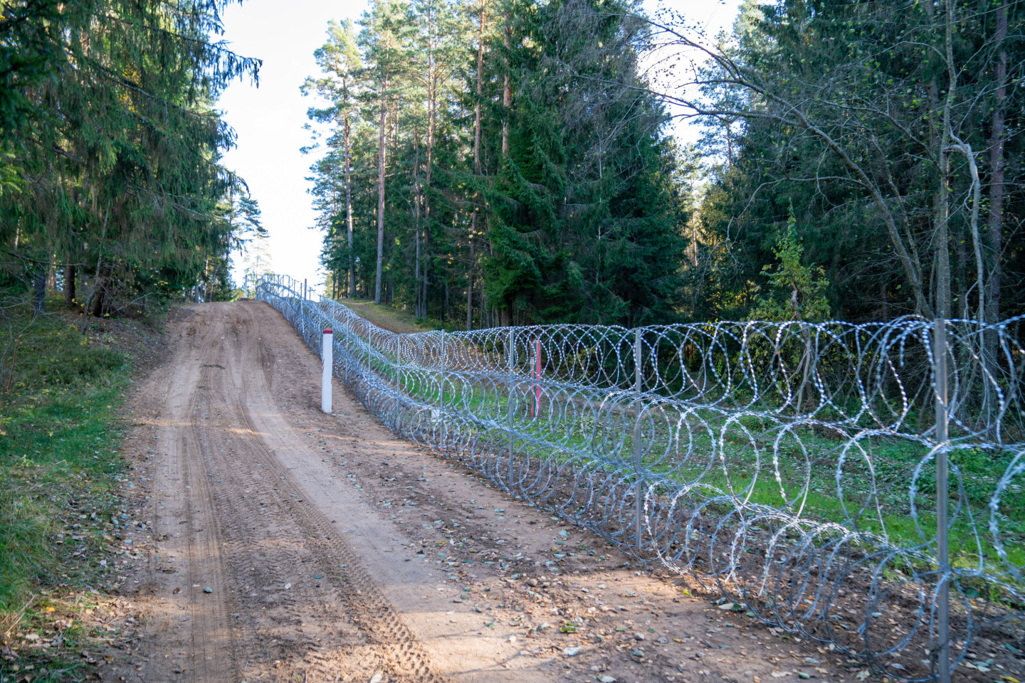 Nedēļas nogalē Latvijā no Baltkrievijas nelikumīgi mēģinājuši iekļūt 66 imigranti