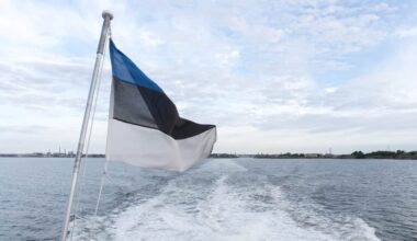 Estonia on Russian strike against Sumy: ''No words to describe Russia's evil''