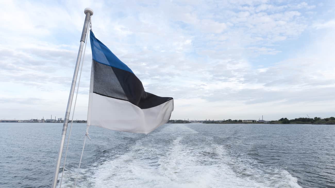 Estonia on Russian strike against Sumy: ''No words to describe Russia's evil''