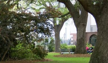 City of Charleston launches the first-ever environmental corridor in Southeast