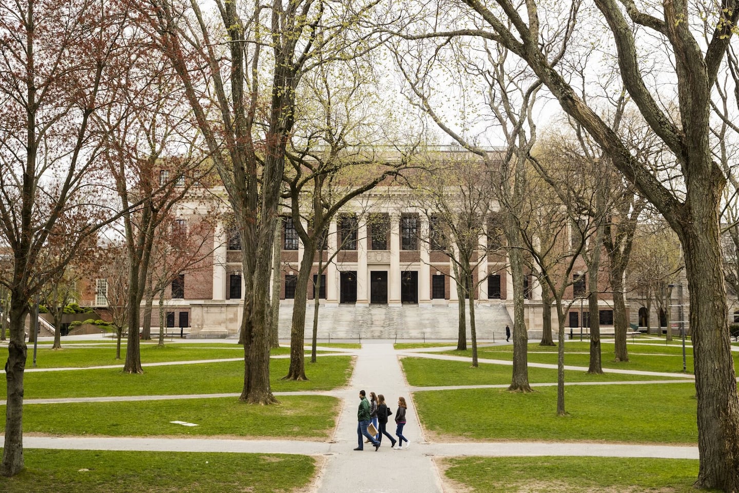 Pedestrians walk through Harvard Yard on the Harvard University campus in Cambridge, Massachusetts.