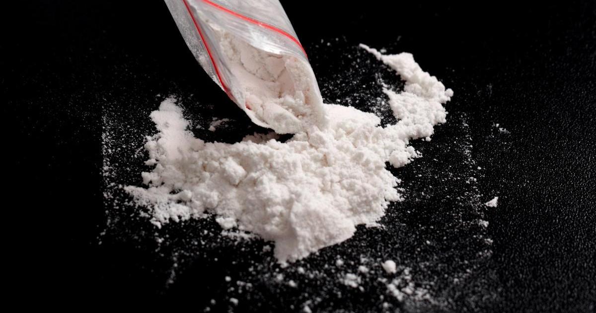 More than $560 million of cocaine found on Malta-flagged ship in Livorno