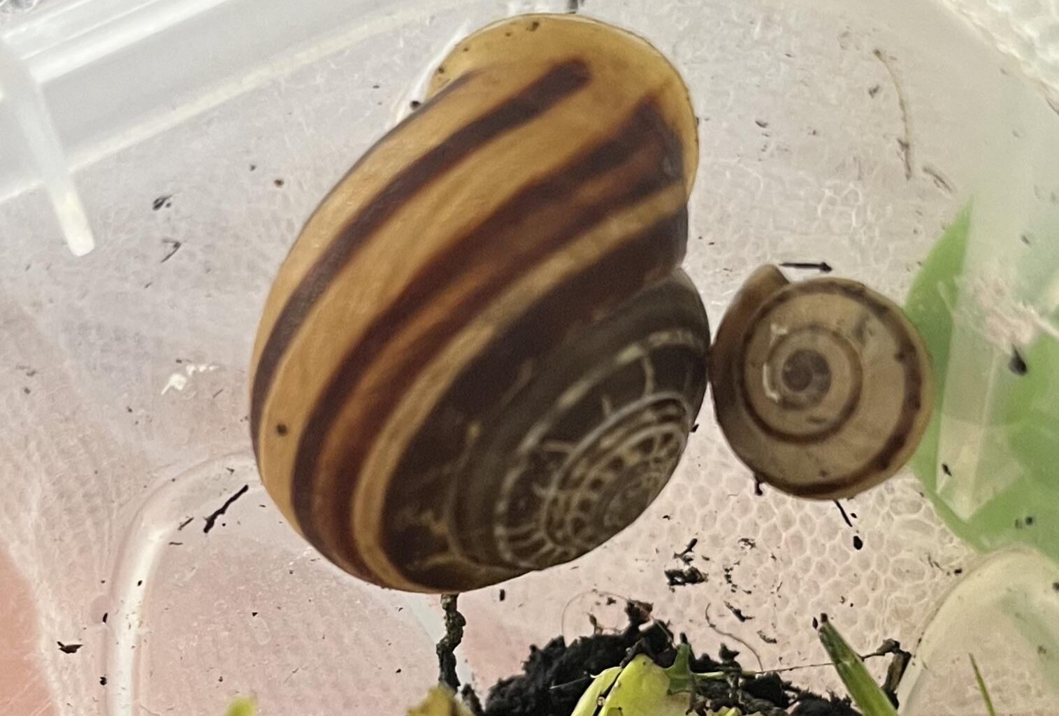 Kann ich meine blinden Passagiere einfach so aussetzen?