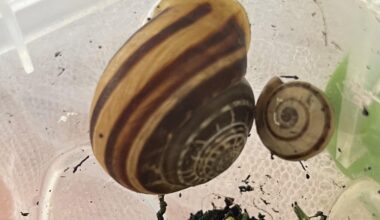 Kann ich meine blinden Passagiere einfach so aussetzen?