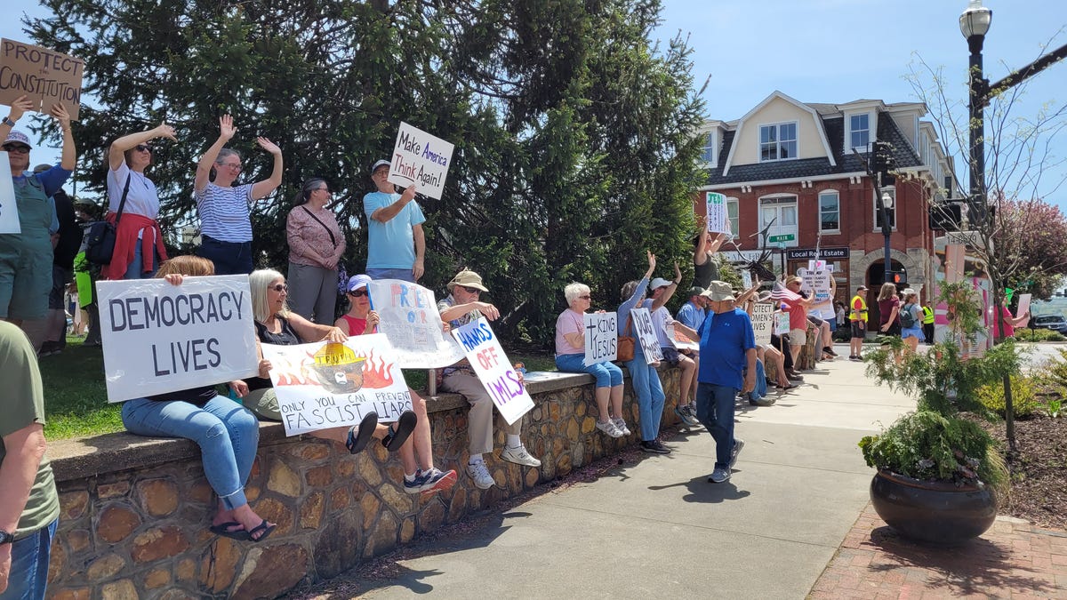 Brevard protesters rallied for democracy and the environment