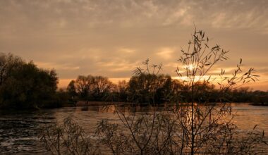 Sunset at Beeston Marina