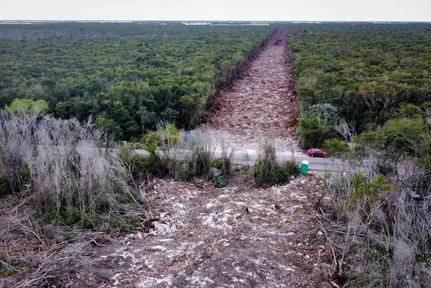 Mexico pledges restoration for Maya Train environmental damage