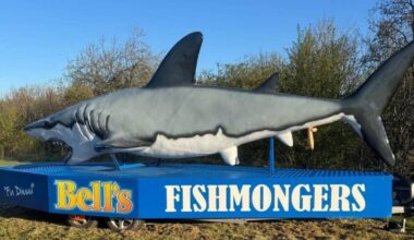 Fin’s been vandalized