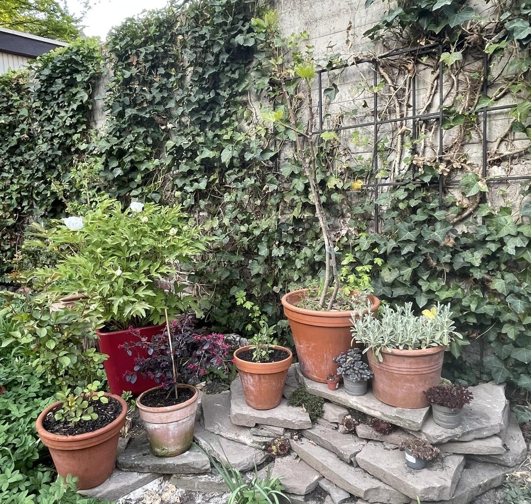 Erste Trockenmauer aus Naturstein