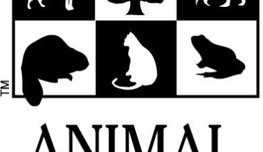 Animal Alliance of Canada Continues Decades-Long ‘No Pets