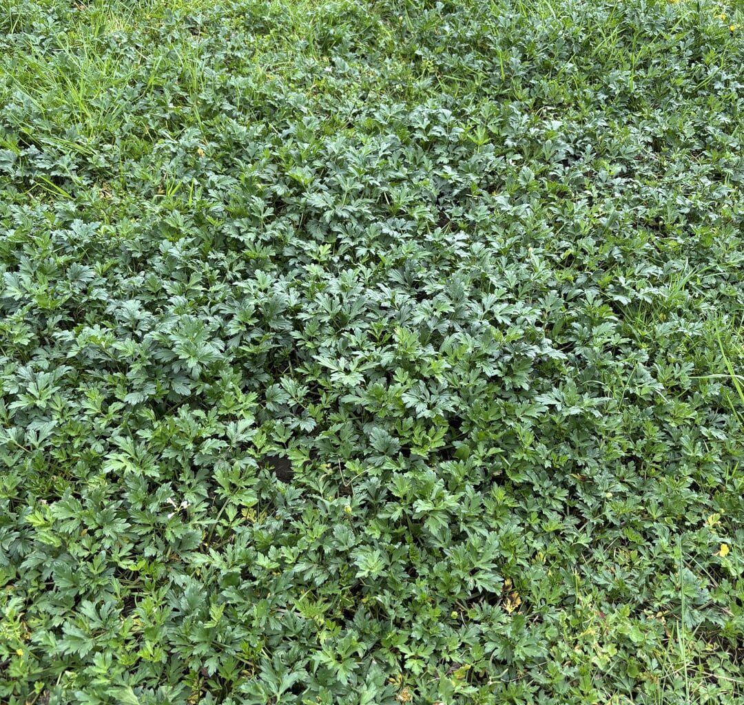 Was ist das?