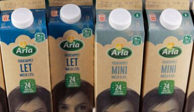 Denmark's Arla plans dairy tie-up with Germany's DMK