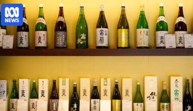 Sake imports soar in Australia amid decline in Japanese domestic market