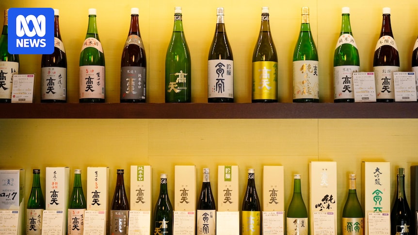 Sake imports soar in Australia amid decline in Japanese domestic market