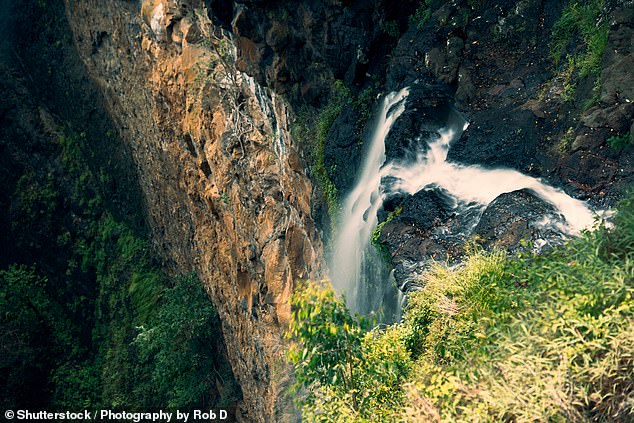 The 36-year-old fell to her death at Mapleton Falls on Queensland's Sunshine Coast. An 18-year-old man who was with her at the time also suffered serious injuries