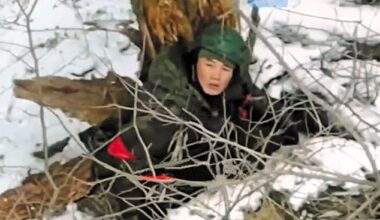 NK activates article 4 of mutual "defence pact"; confirms troop deployment; declaration of war