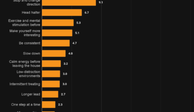 [OC] The most effective ways to stop your dog pulling on the leash (according to Reddit)
