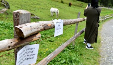 Touristen aus Golfstaaten stürmen Österreich