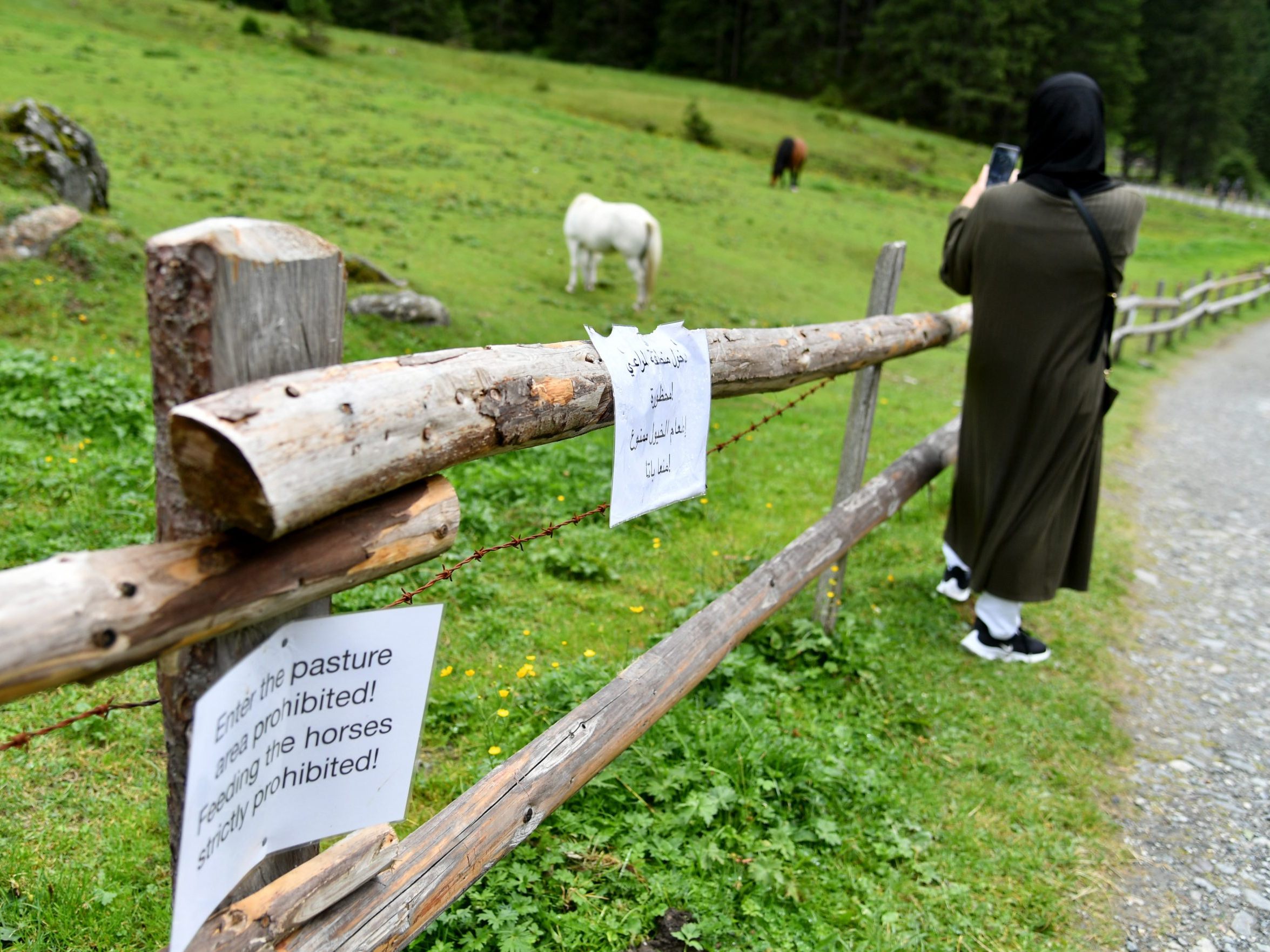 Hinweisschilder auf Englisch und Arabisch in Österreich.