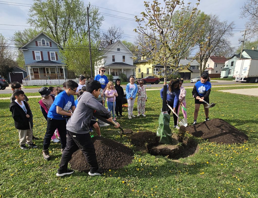 Tree plantings in Aurora offer way to celebrate environment