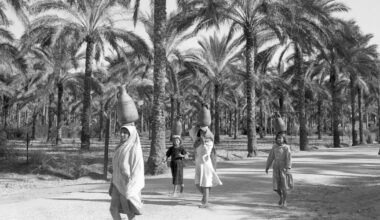 The Hawaii of Israel: How Trump legitimised a longstanding Israeli vision | Israel-Palestine conflict